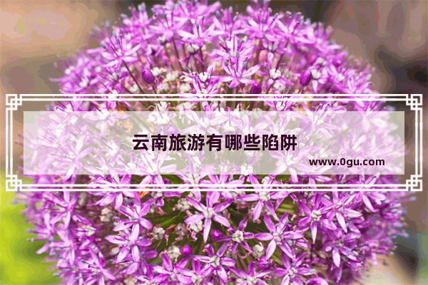 云南旅游有哪些陷阱