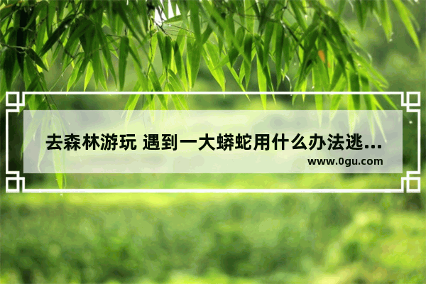 去森林游玩 遇到一大蟒蛇用什么办法逃过一难