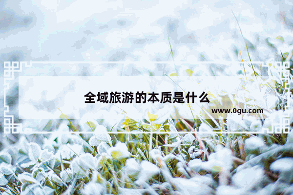 全域旅游的本质是什么