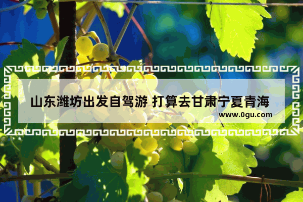 山东潍坊出发自驾游 打算去甘肃宁夏青海 有什么路线推荐