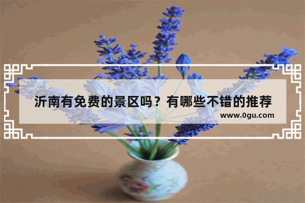 沂南有免费的景区吗？有哪些不错的推荐