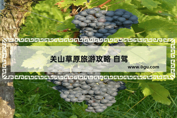 关山草原旅游攻略 自驾