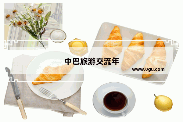 中巴旅游交流年