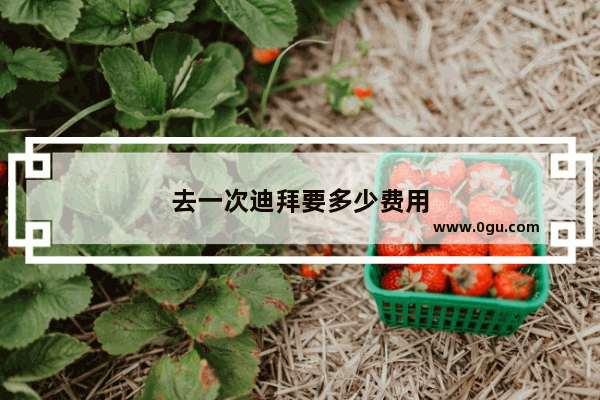 去一次迪拜要多少费用