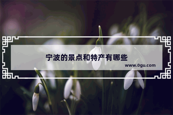 宁波的景点和特产有哪些