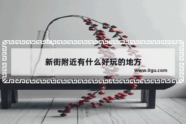 新街附近有什么好玩的地方