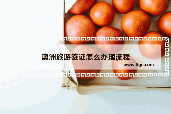 澳洲旅游签证怎么办理流程