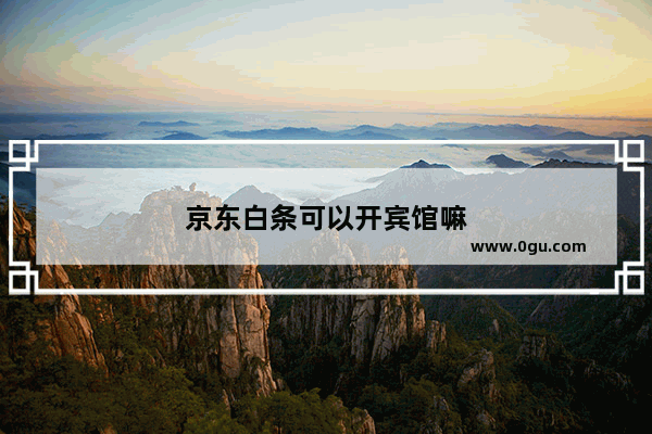 京东白条可以开宾馆嘛