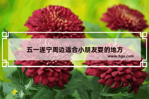 五一遂宁周边适合小朋友耍的地方