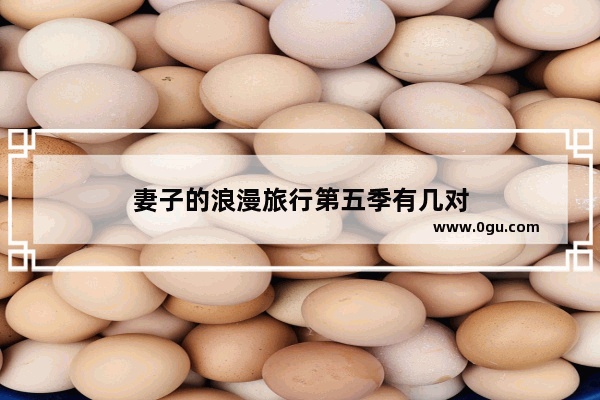 妻子的浪漫旅行第五季有几对
