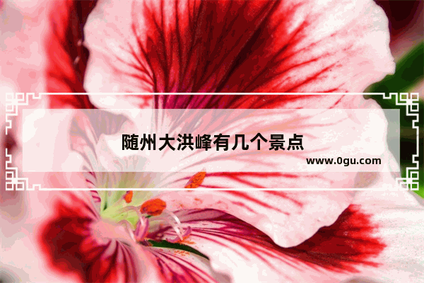 随州大洪峰有几个景点