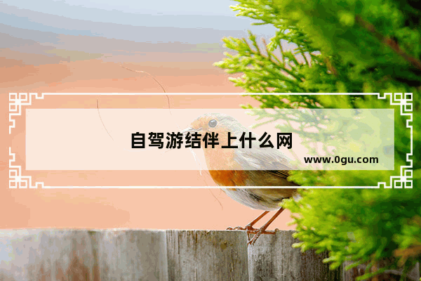 自驾游结伴上什么网
