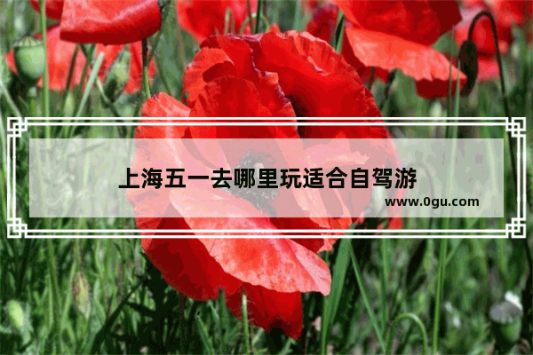 上海五一去哪里玩适合自驾游