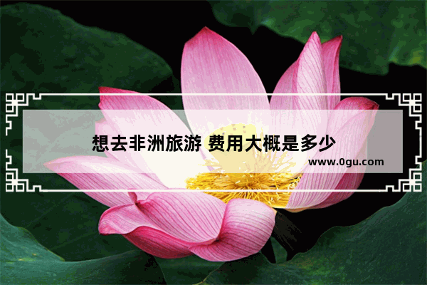 想去非洲旅游 费用大概是多少