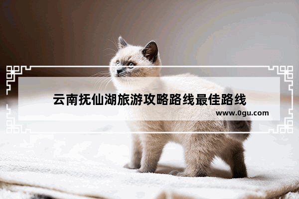 云南抚仙湖旅游攻略路线最佳路线
