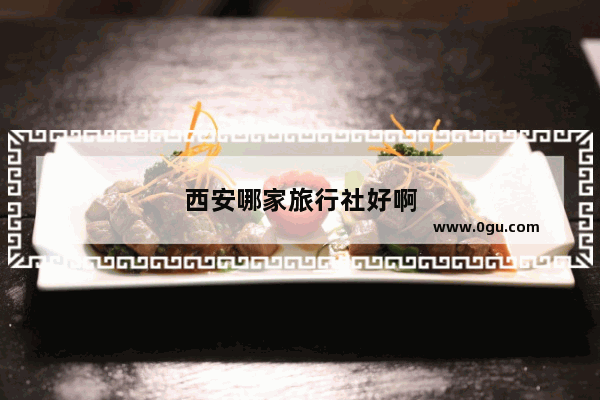 西安哪家旅行社好啊