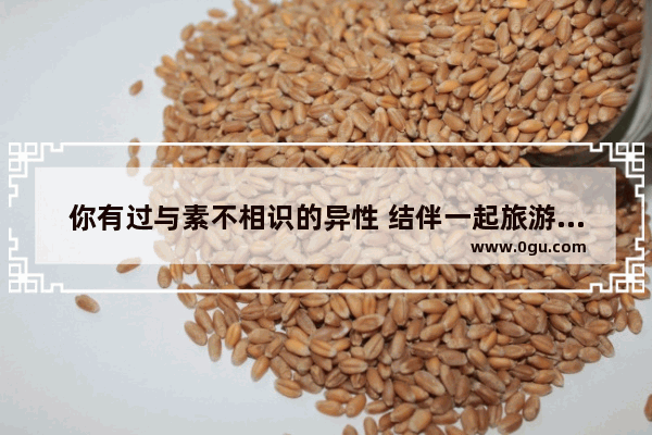 你有过与素不相识的异性 结伴一起旅游的经历吗