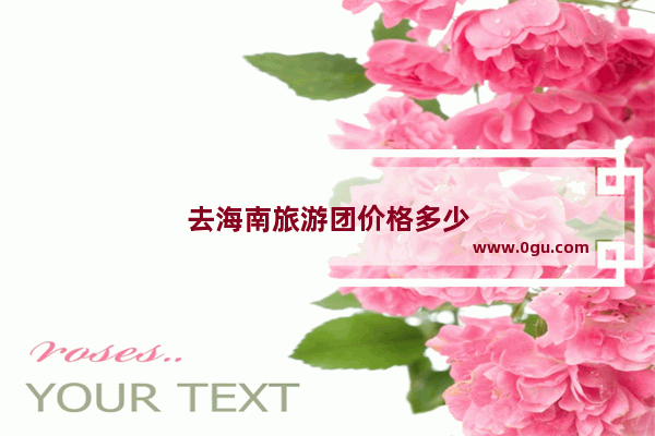去海南旅游团价格多少