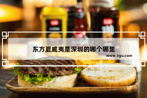 东方夏威夷是深圳的哪个哪里