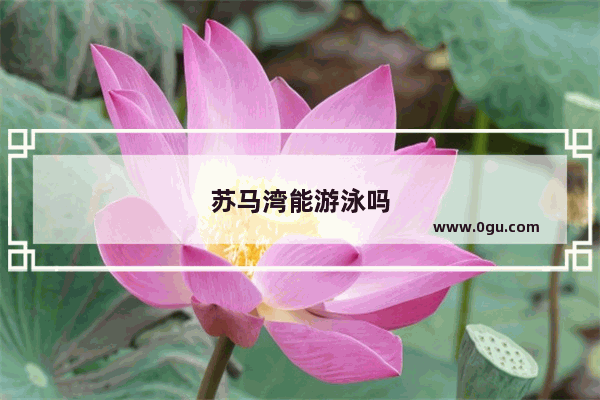 苏马湾能游泳吗