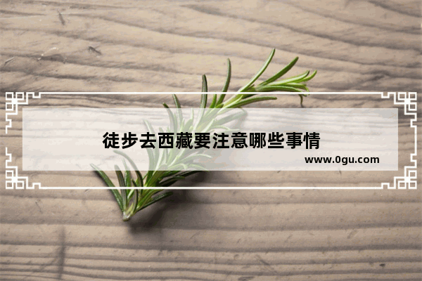 徒步去西藏要注意哪些事情