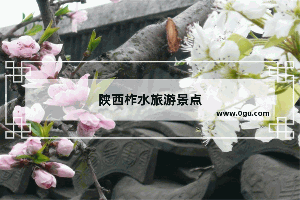 陕西柞水旅游景点