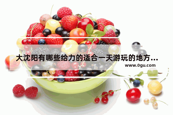 大沈阳有哪些给力的适合一天游玩的地方 介绍介绍