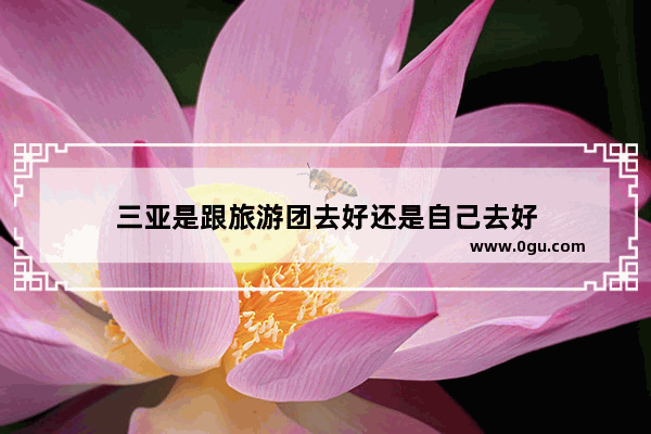 三亚是跟旅游团去好还是自己去好