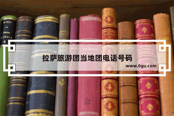 拉萨旅游团当地团电话号码