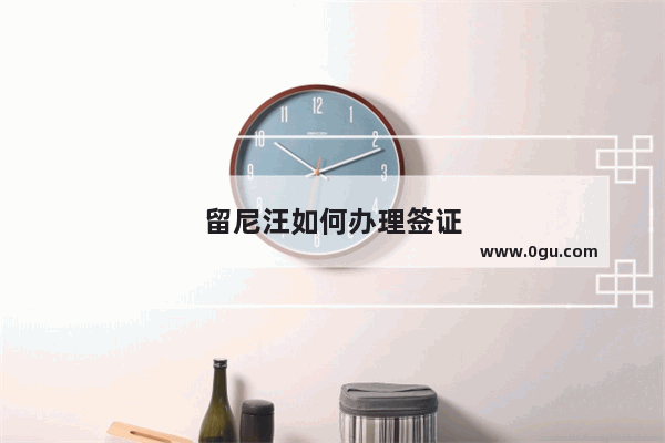 留尼汪如何办理签证