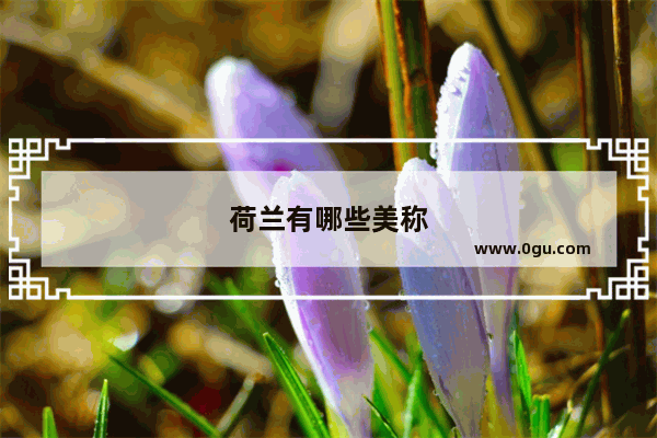 荷兰有哪些美称