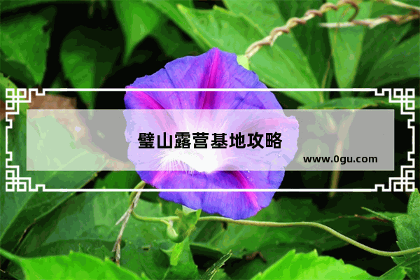 璧山露营基地攻略