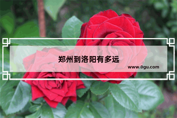 郑州到洛阳有多远