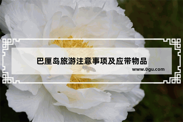 巴厘岛旅游注意事项及应带物品