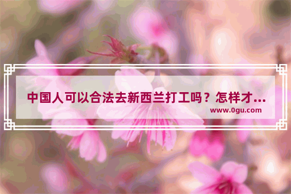 中国人可以合法去新西兰打工吗？怎样才可以办新西兰工作签证
