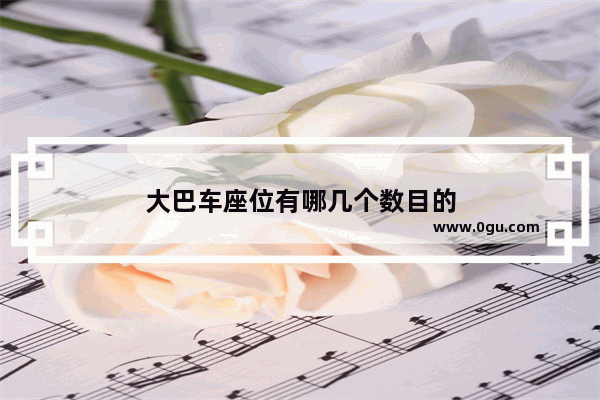 大巴车座位有哪几个数目的