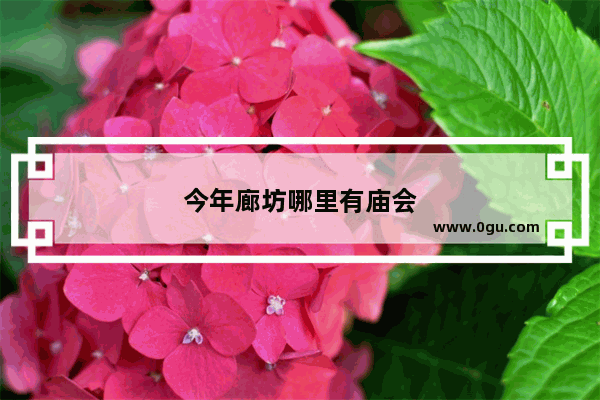 今年廊坊哪里有庙会