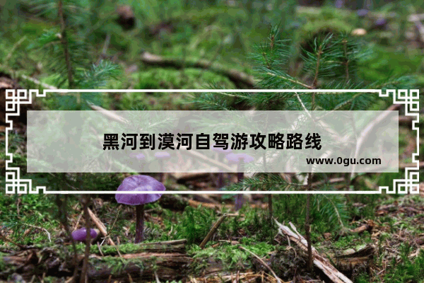 黑河到漠河自驾游攻略路线