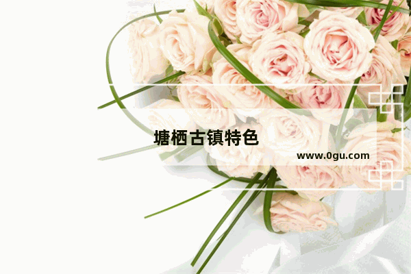 塘栖古镇特色