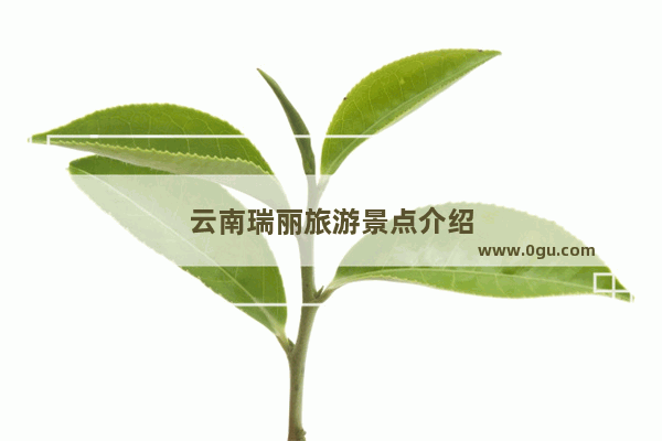 云南瑞丽旅游景点介绍
