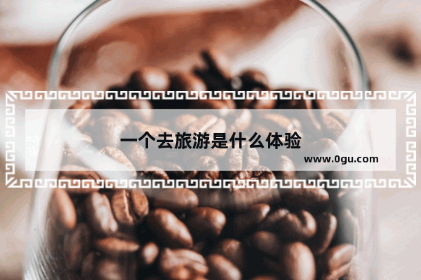 一个去旅游是什么体验