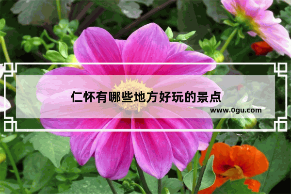 仁怀有哪些地方好玩的景点