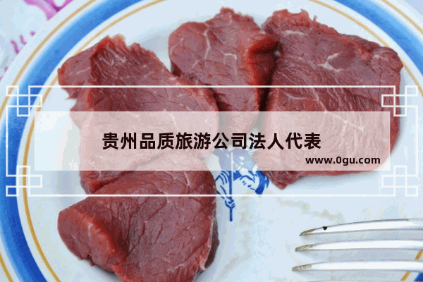 贵州品质旅游公司法人代表