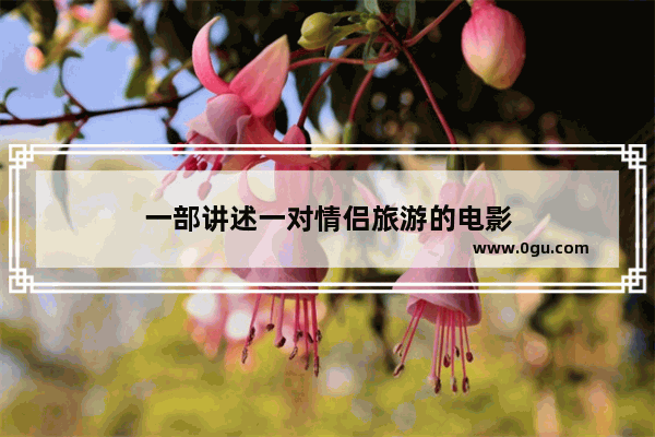 一部讲述一对情侣旅游的电影