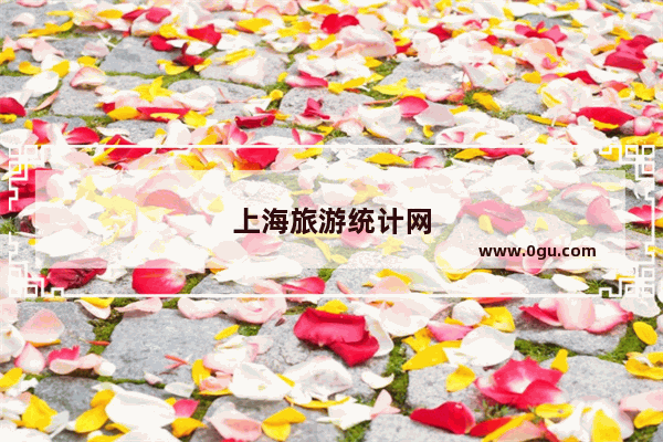 上海旅游统计网