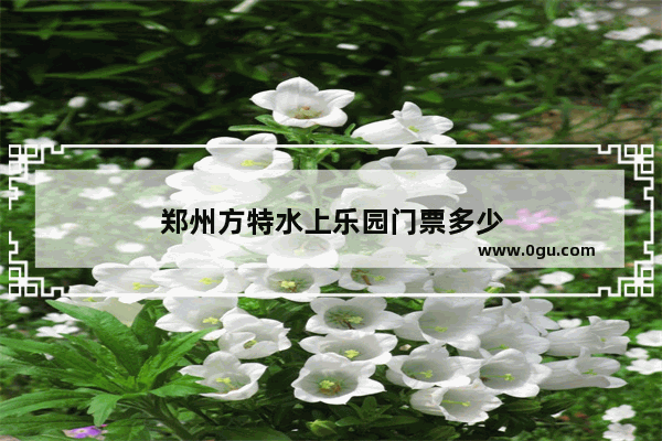 郑州方特水上乐园门票多少