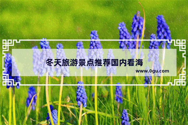 冬天旅游景点推荐国内看海