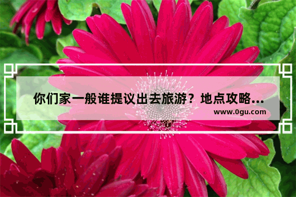 你们家一般谁提议出去旅游？地点攻略都是谁做