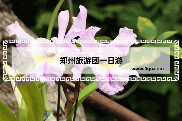 郑州旅游团一日游