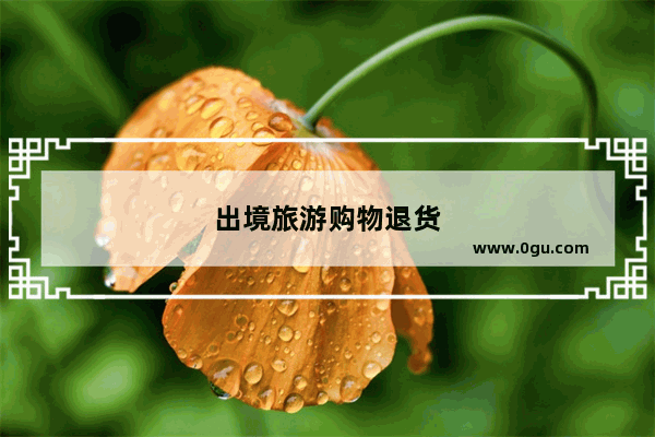 出境旅游购物退货